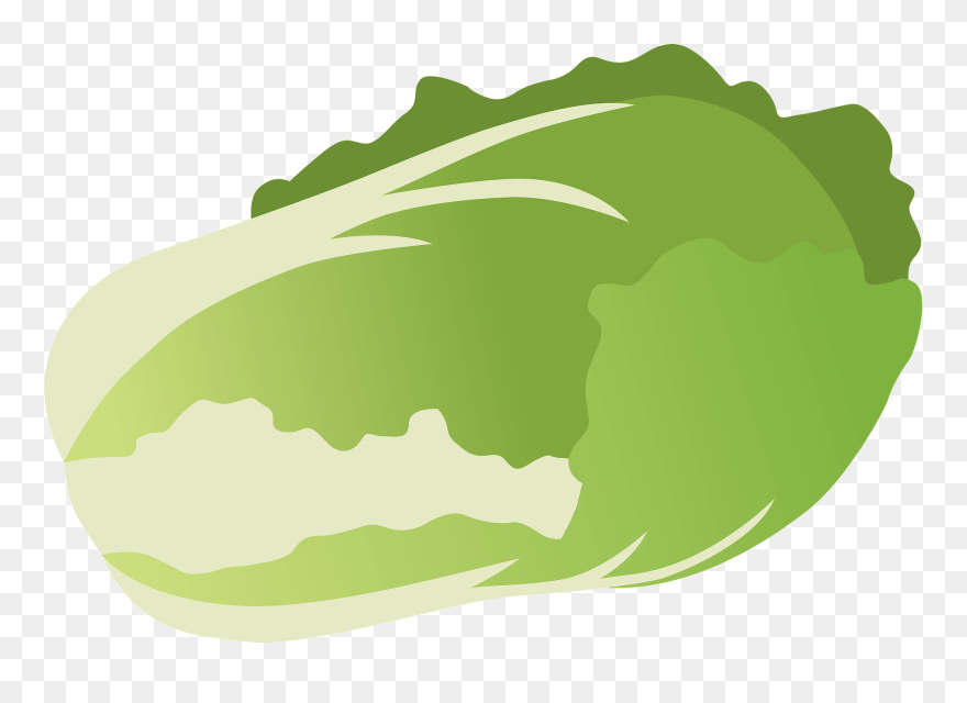 Illustration Clipart