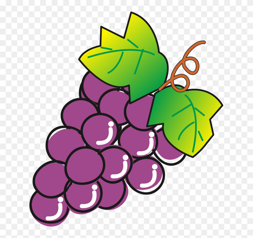 Seedless Fruit,plant,flower - Seedless Fruit Clipart
