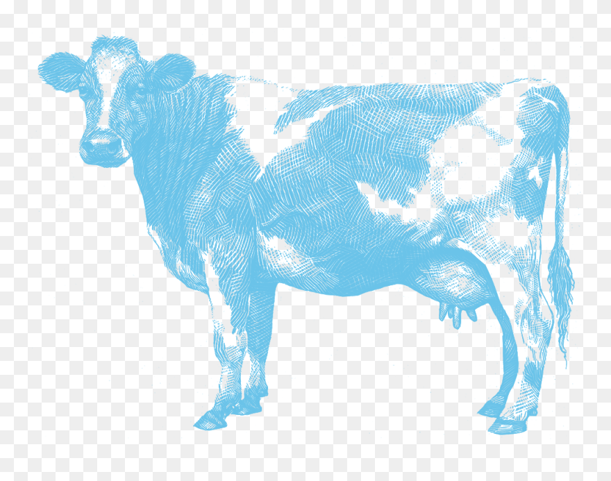 Anut In Jeans Clipart Clip Transparent Stock About - Aunt Jeans Co Nz - Png Download