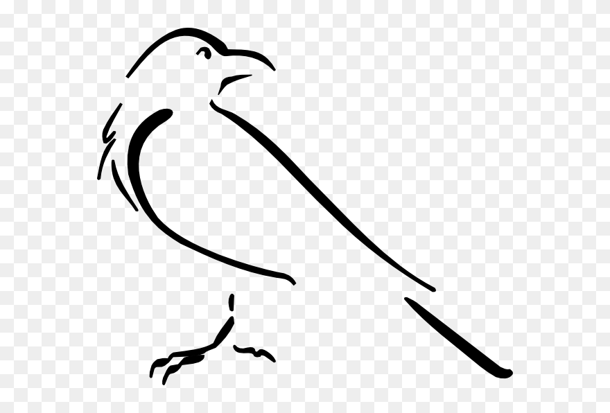 Crow Clipart Download - Crow Drawing Outline - Png Download
