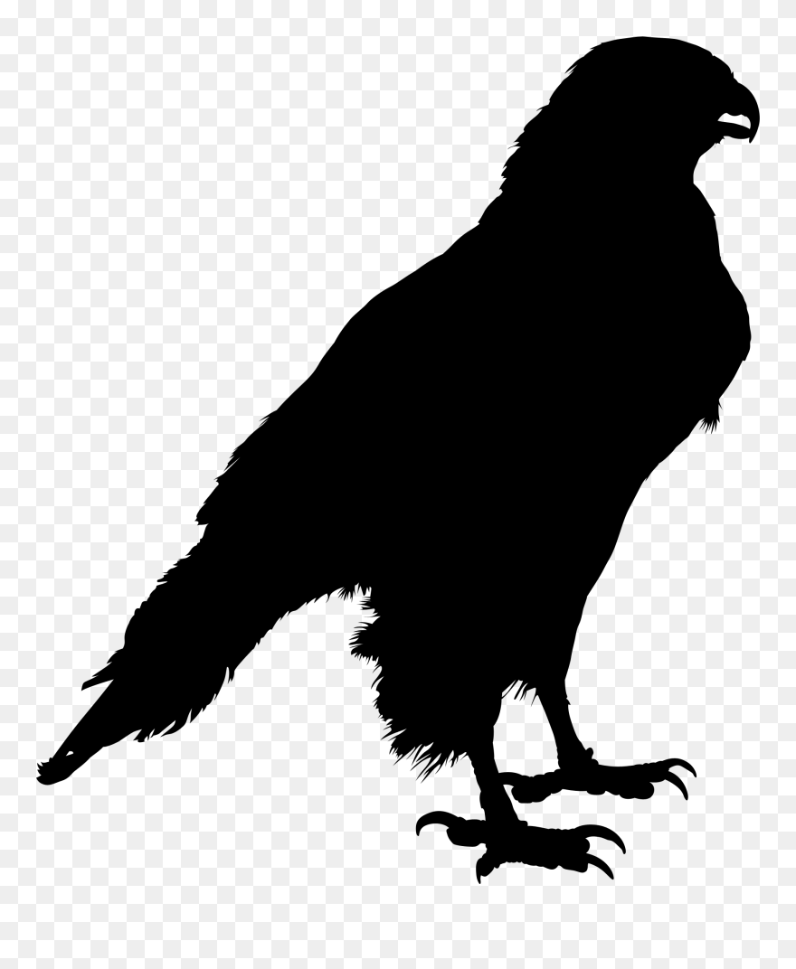 Common Raven Clip Art Silhouette Crow Drawing - Png Download
