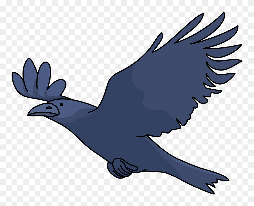 Crow Bird Clipart - Illustration - Png Download