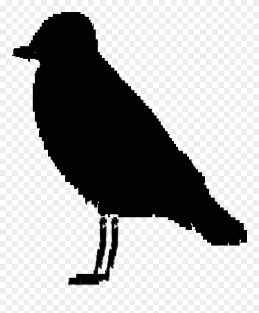 Ireland Silhouette Bird Clip Art - Clip Art - Png Download