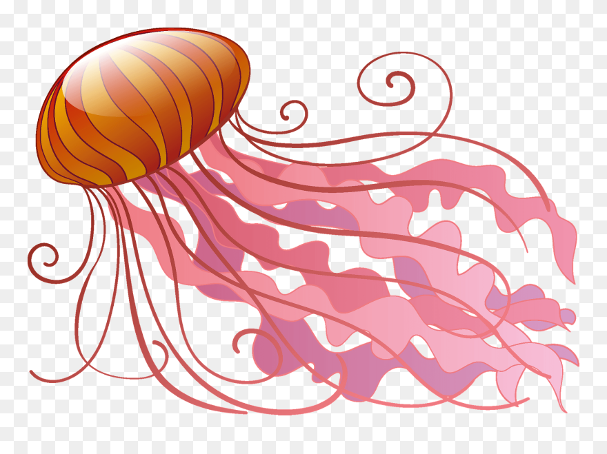 Clipart Jelly Fish - Png Download