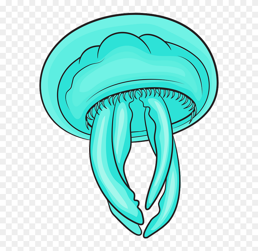 Moon Jellyfishes Clipart - Png Download