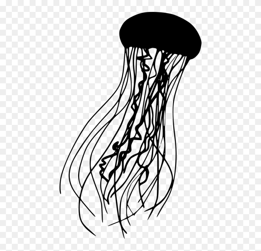 Jellyfish Png Black And White Clipart