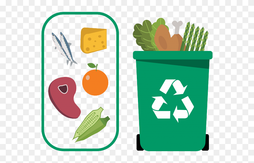 Dry Waste And Wet Waste Clipart