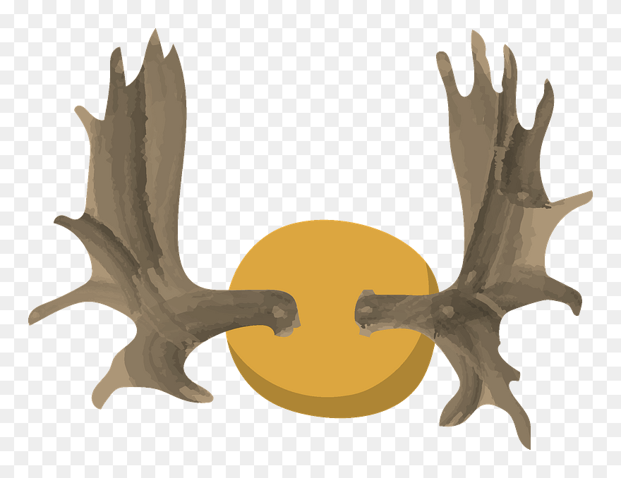 Antlers Clipart - Plywood - Png Download