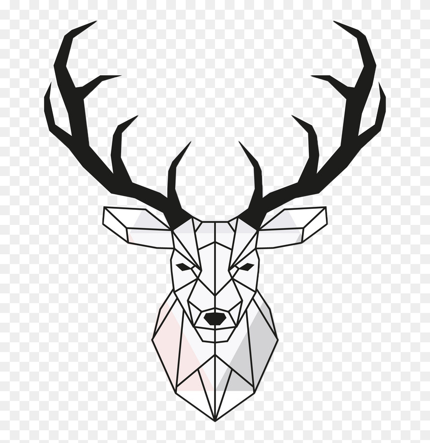 #antler #antlersstickerremix #antlers #scandinavian - Geometric Animal Drawing Clipart