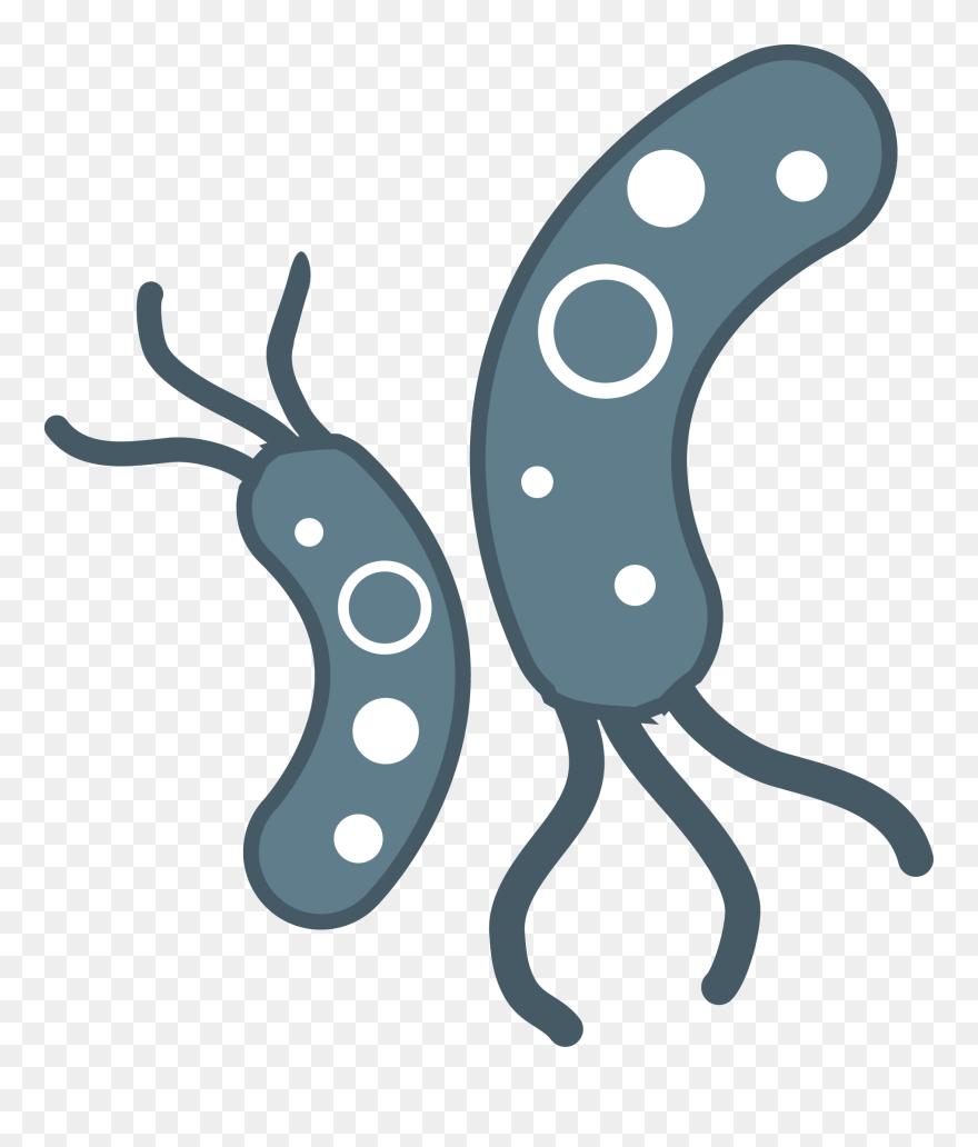Transparent Images All File - Transparent Background Bacteria Clipart - Png Download