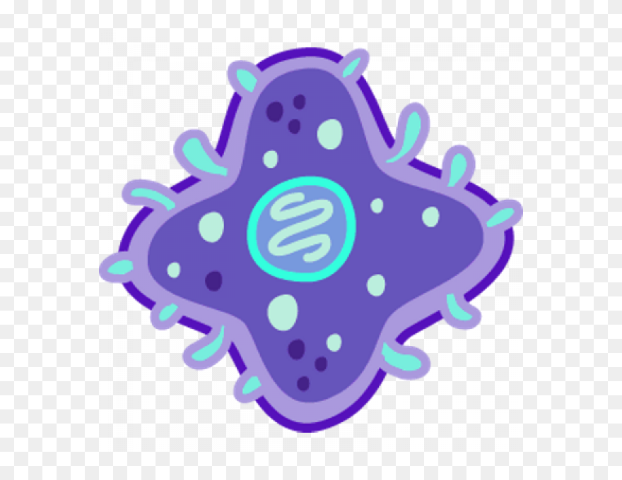 Bacterias Png Clipart