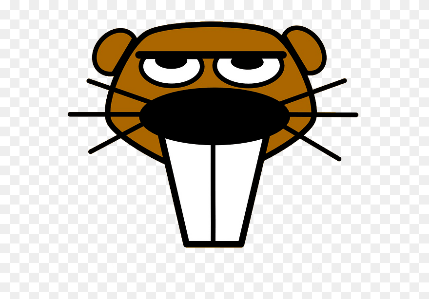 Cartoon Beaver Face Clipart - Beaver Cartoon - Png Download