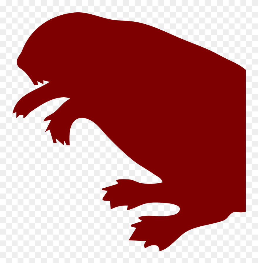 Beaver Clip Art - Png Download