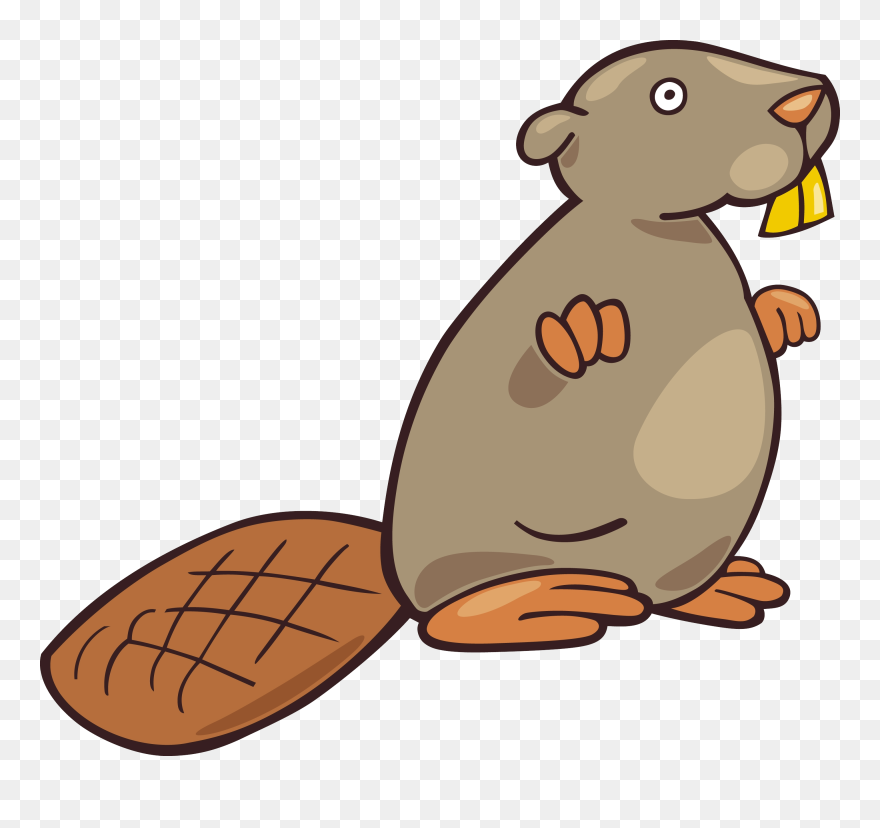 Download And Use Beaver Transparent Png File - Бобёр Клип Арт Clipart