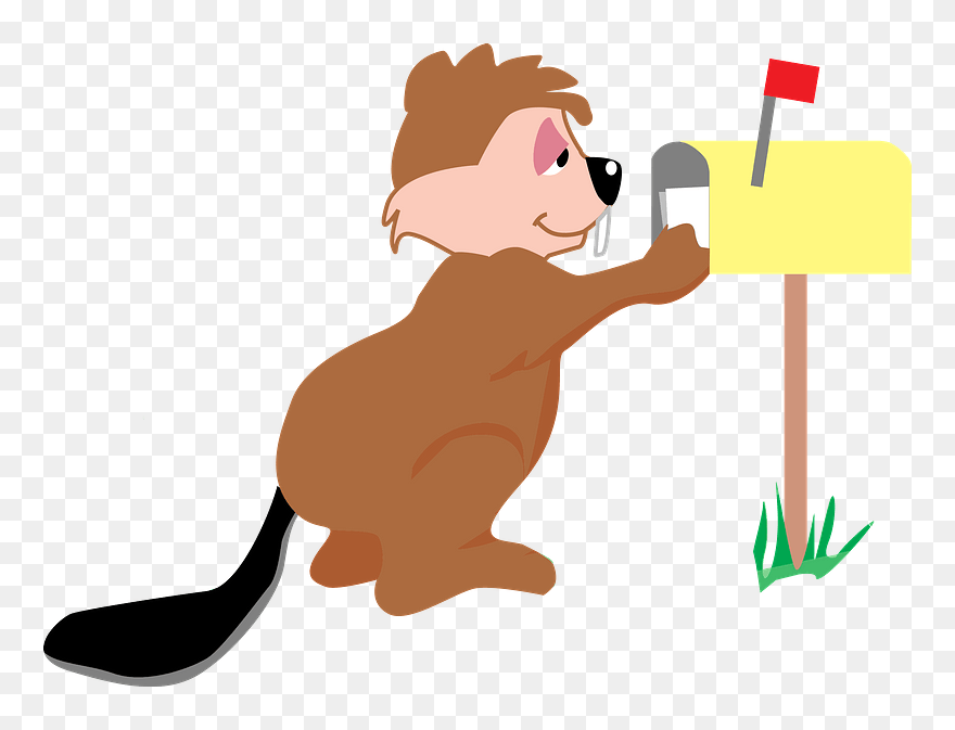 Beaver Receiving Mail Clipart - Letter - Png Download