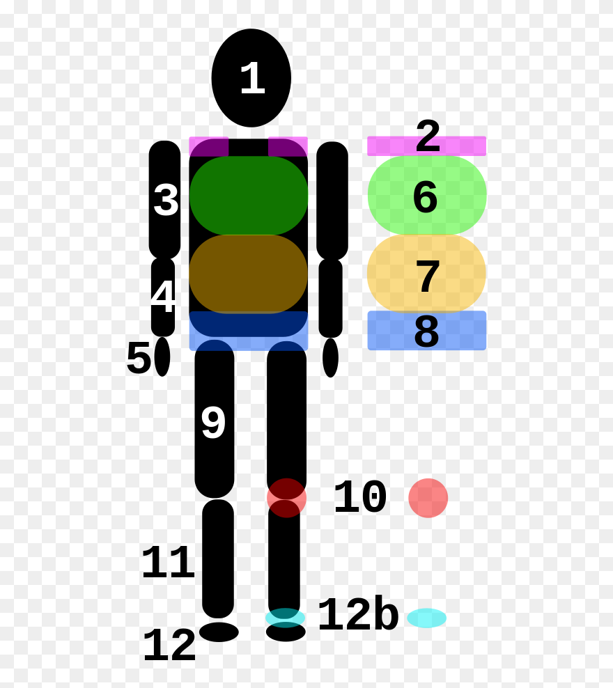 Stick Figure With Some Numbered And Colored Body Parts - Human Body Clipart