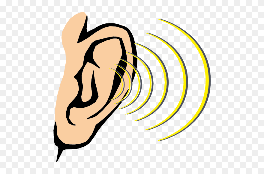 Ears Clipart Different Body Part - Sense Of Hearing Clipart - Png Download