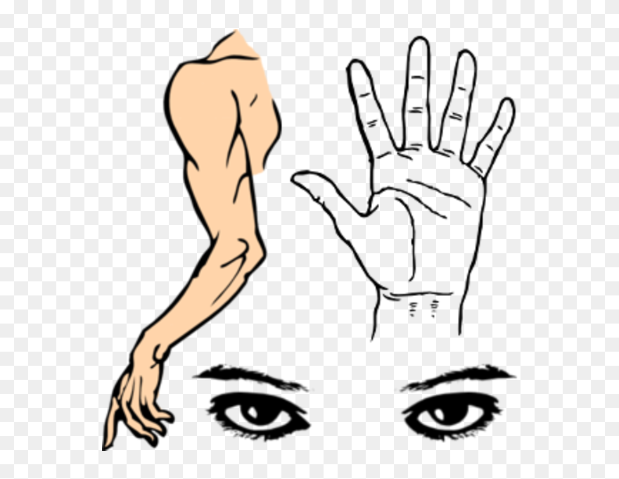 Clip Art Palm Hand - Png Download