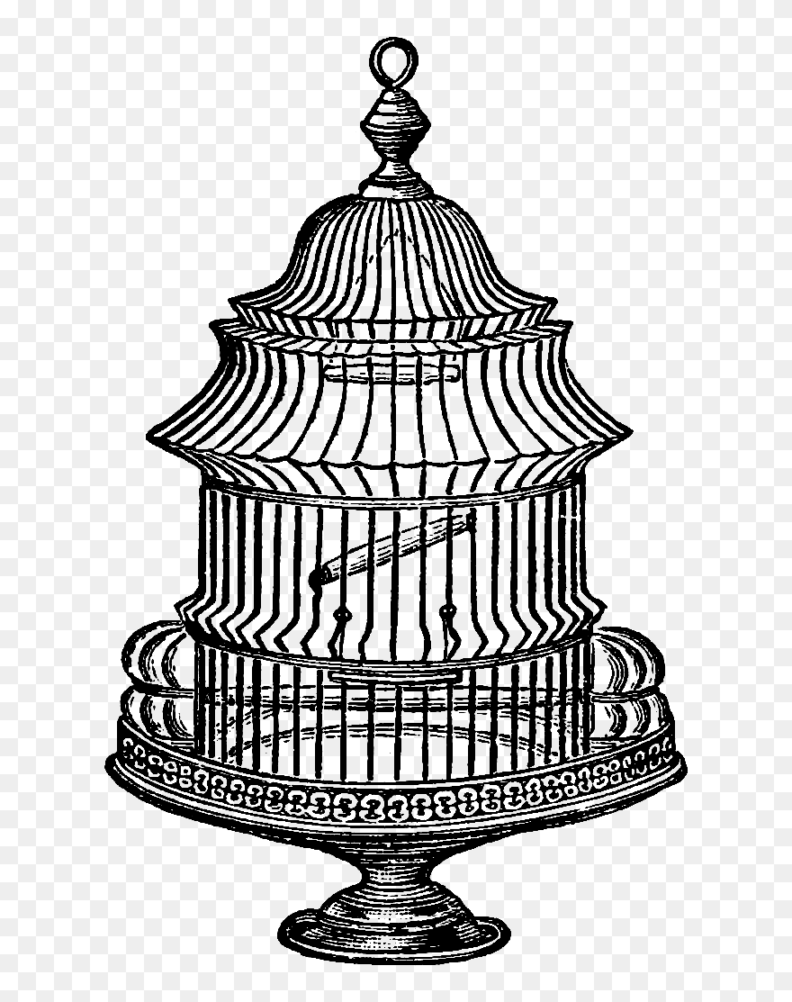 Birdcage Clipart Transparent - Vintage Bird Cage Graphic - Png Download