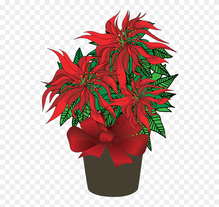 Forgetmenot In Pots - Poinsettia Clipart - Png Download