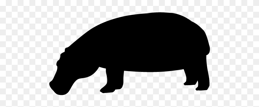 Hipopotamo Sombra Png Clipart