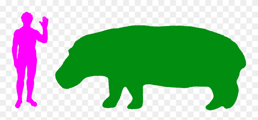 Clipart Mouth Hippo - Giraffe Compared To Human - Png Download