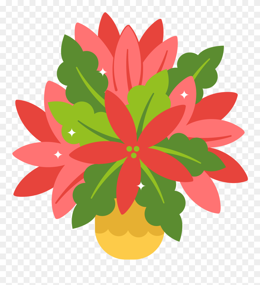 Poinsettia Clipart - Illustration - Png Download