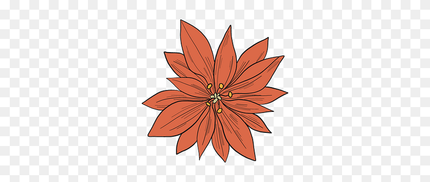 Poinsettia Clipart - Black-eyed Susan - Png Download