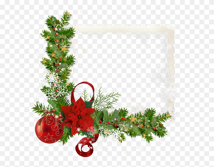 Christmas Flower Frame Png Clipart