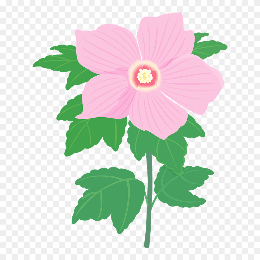 Hibiscus Syriacus Flower Clipart - Hawaiian Hibiscus - Png Download