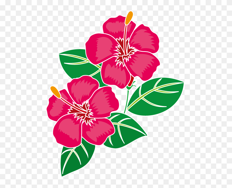 Pinterest Hawaii Clipart