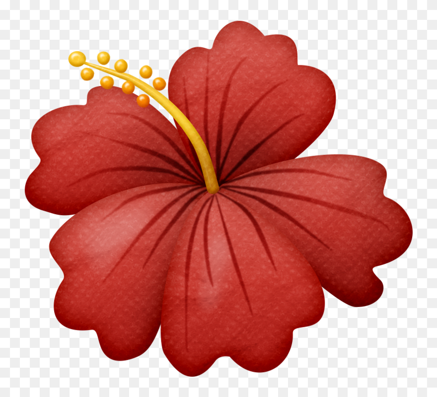 Hibiscus Clipart Beachy - Drawing Of One Flower - Png Download
