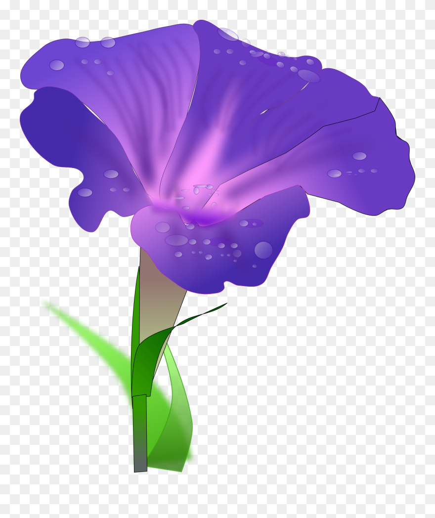 Morning Glory Flower Clipart - Png Download