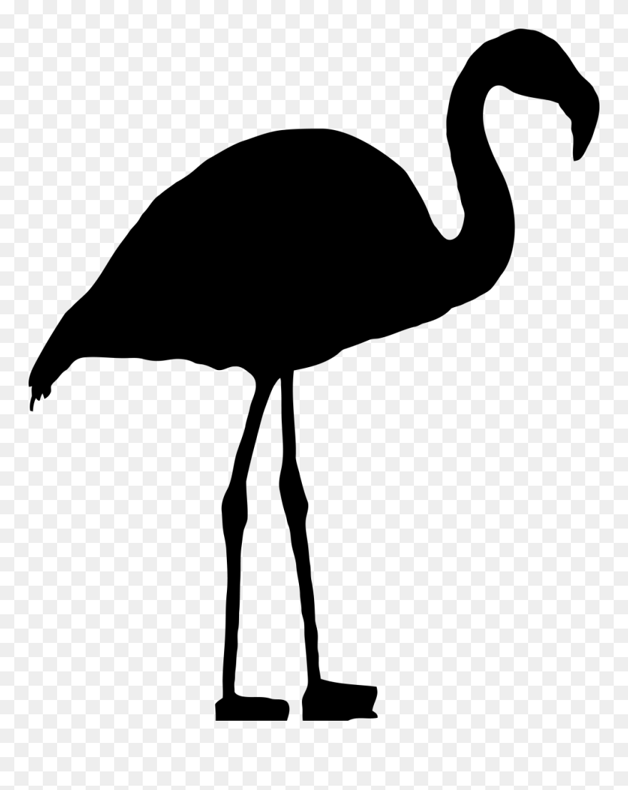 Flamingo Preto Png Clipart