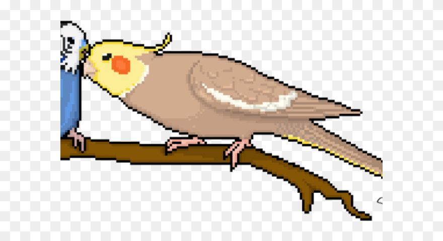 Bird Pixel Art Grid Clipart