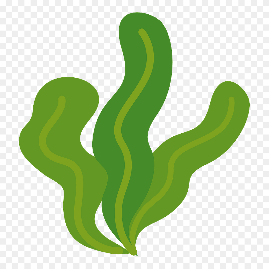 Wakame Seaweed Clipart - フリー 素材 イラスト わかめ - Png Download
