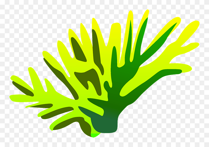 Seaweed Clipart - Cartoon Fish Plants - Png Download