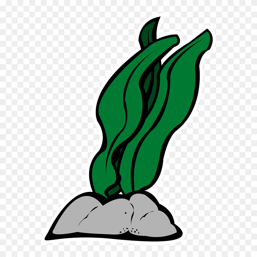 Seaweed Clipart - 昆布 イラスト 無料 - Png Download