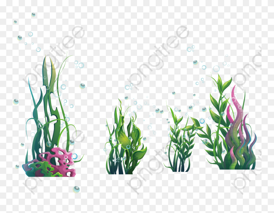 Transparent Ak 47 Vector Png - Transparent Background Seaweed Clipart