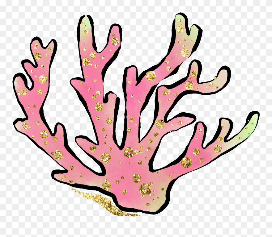 #underthesea #plants #coral #seaweed #sealife #underwaterplants Clipart