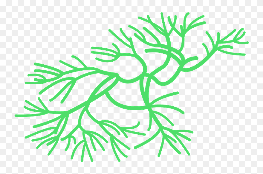 Clip Art - Png Download