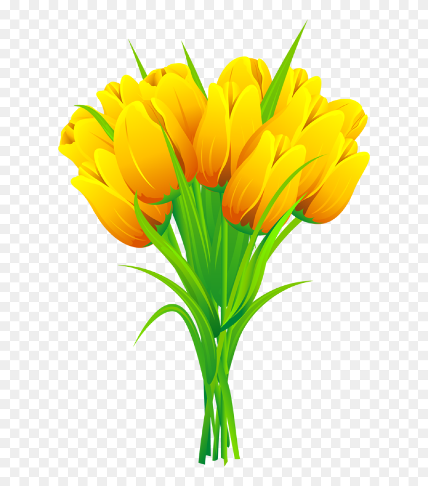 Transparent Tulips Clipart - Clip Art Tulips - Png Download