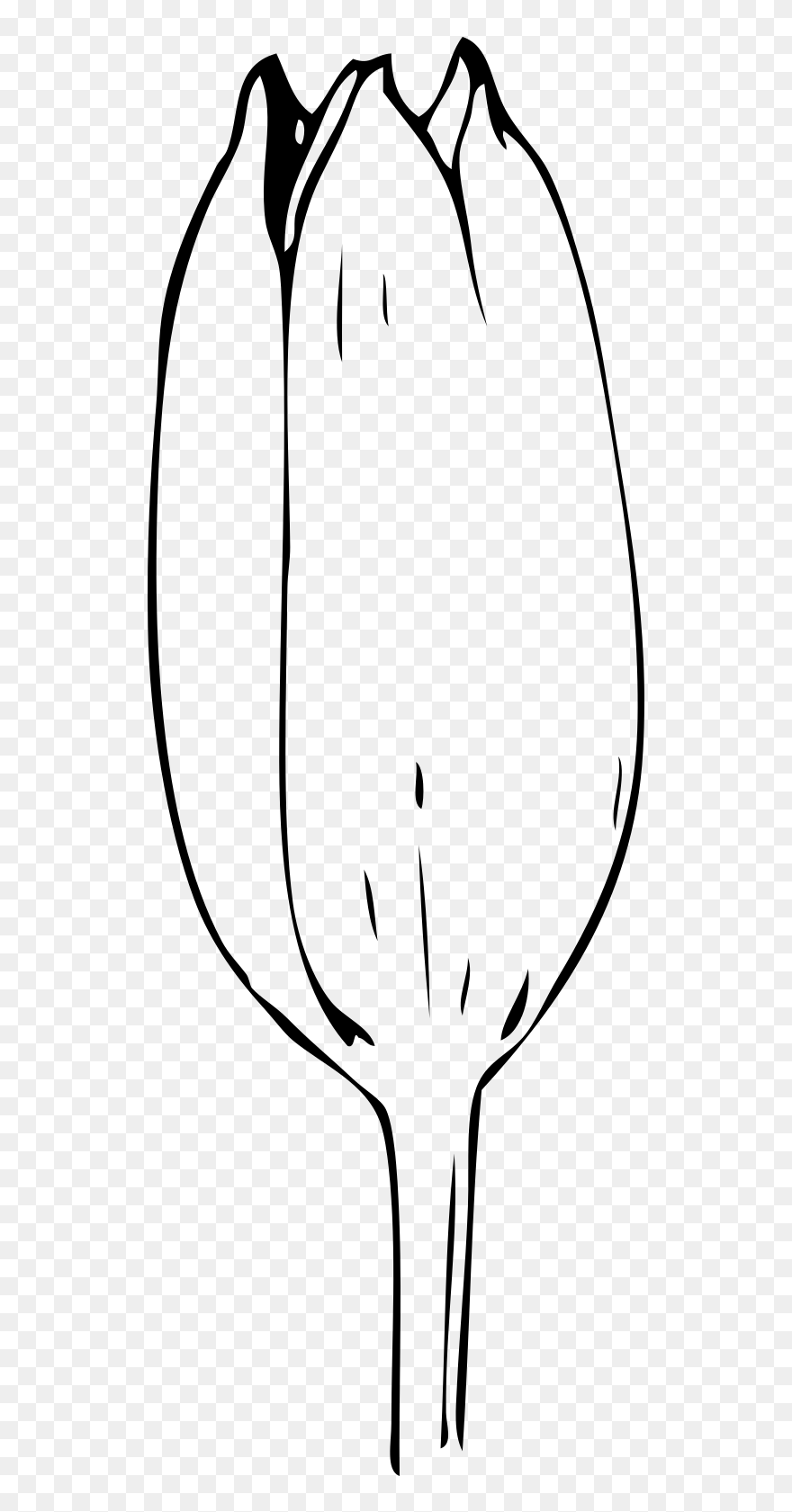 Flower Bud Clipart Black And White - Png Download