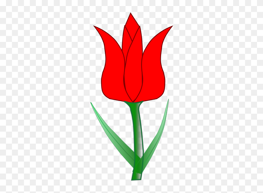 Tulip Svg Clip Arts - Clip Art - Png Download