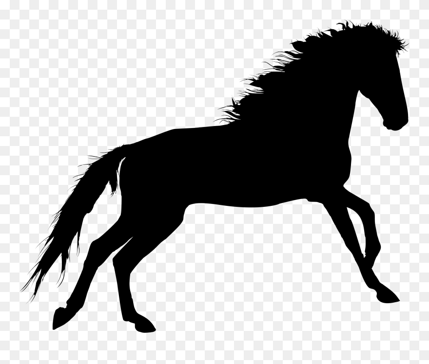 Horse Portable Network Graphics Clip Art Silhouette - Horse Shadow - Png Download