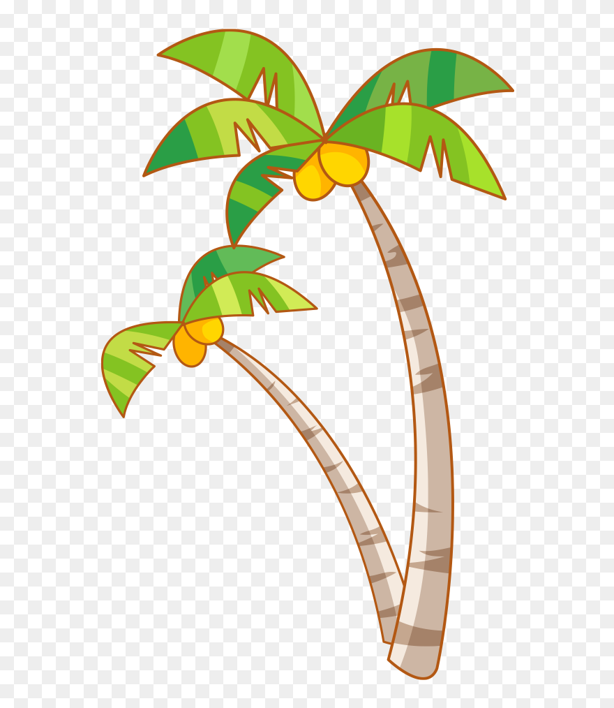 Coconut Tree Png - Coconut Tree Png Clipart Transparent Png