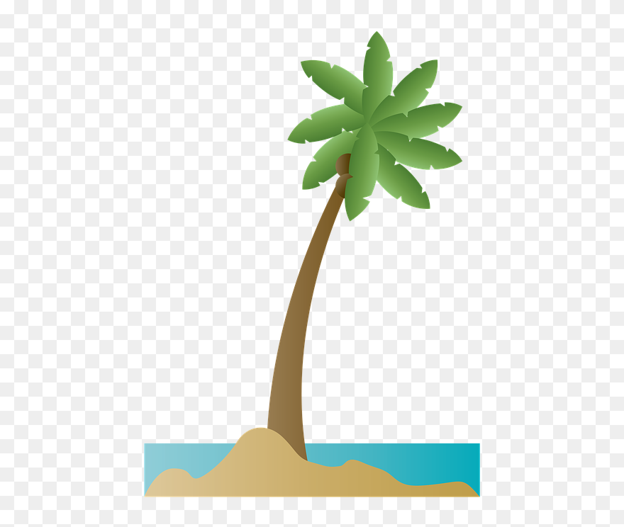 Bay Clipart Coconut Beach - Palmera De Mar Png Transparent Png