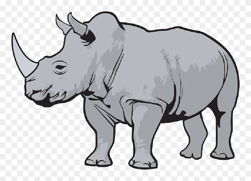 Transparent Rhino Clipart - Rhino Clipart - Png Download