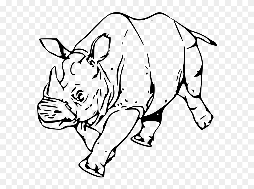 Rhinoceros - Rhino Drawing Free Png Clipart