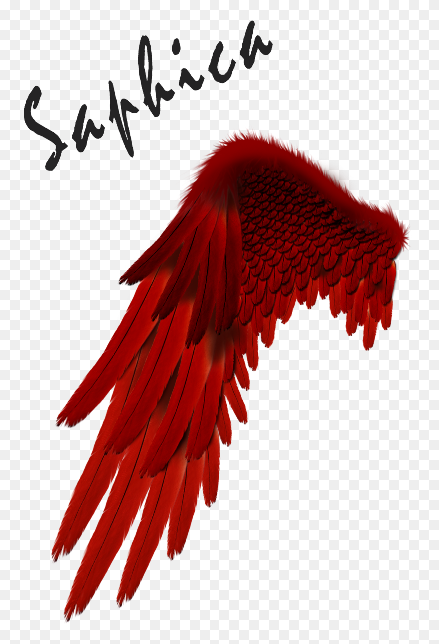 Free Download Devil Clipart Devil Angel Demon - Red Angel Wings Png Transparent Png